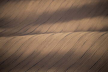 Plowed Agricultural Field with Parallel Lines