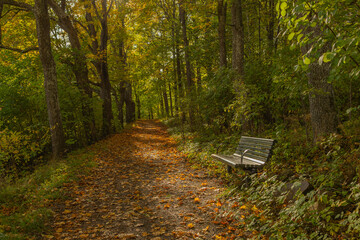 bench in autumn park