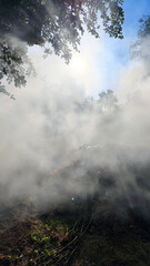 White smoke from smoldering grass in the fire wrapped the green garden in a soft haze. The smoke...