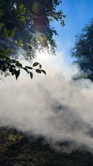 White smoke from smoldering grass in the fire wrapped the green garden in a soft haze. The smoke drifted low across the ground, pierced by morning sunlight streaming through in rays