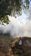 White smoke from smoldering grass in the fire wrapped the green garden in a soft haze. The smoke...