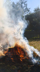 Campfire smoke rising into the air. Burning hay and freshly cut grass release thick white smoke. Rural lifestyle scene filled with scent of earth, fire, summer chores
