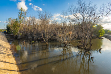 Sumba, Indonesia – 07. 07. 2025 – Not far from Waingapu city center, the dried-up mangrove...