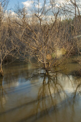 Sumba, Indonesia – 07. 07. 2025 – Not far from Waingapu city center, the dried-up mangrove...