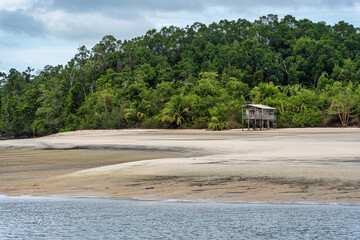 Barra velha beach at Soure, Marajo in Para, Brazil. Beautiful beach and mangrove trees with their...