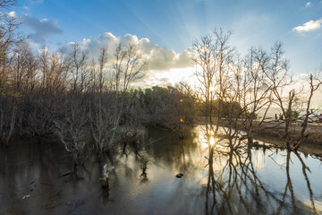 Sumba, Indonesia – 07. 07. 2025 – Not far from Waingapu city center, the dried-up mangrove...