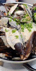 plat de moules cuisinées à la crème, en gros plan