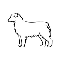 Australian Shepherd Dog Line Art Elegant Minimalist Canine Illustration