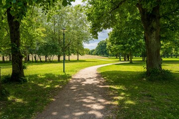 Serene park with winding path and trees
