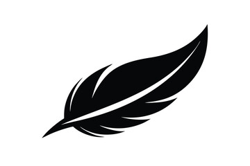 Obraz premium feather vector illustration