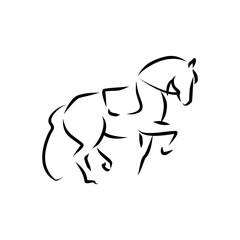 Elegant Horse Line Art Minimalist Equestrian Illustration