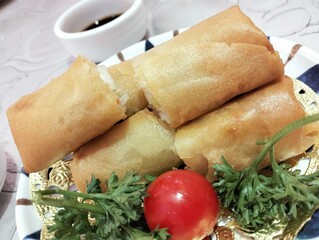 Crispy Chinese Spring Rolls with Tomato and Parsley Garnish Served on Decorative Plate