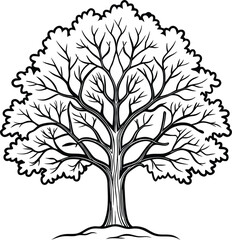 Obraz premium Oak Tree vector tree silhouette