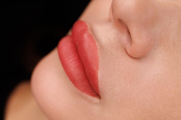 Well-executed PMU on lips with sharp lines and even coloring, ideal skin finish.
