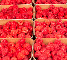 raspberries in eco-friendly paper boxes for sale.