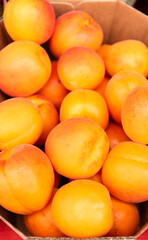apricots in eco-friendly paper boxes for sale.