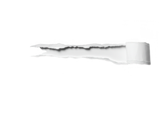 A piece of white paper with a jagged torn edge and rolled end isolated on transparent background