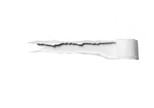 A piece of white paper with a jagged torn edge and rolled end isolated on transparent background