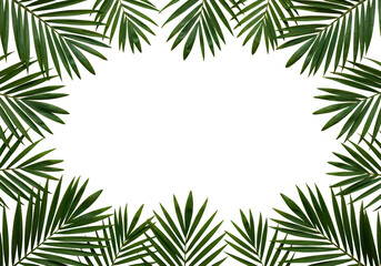 A frame of green palm leaves isolated on transparent background