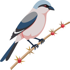 Obraz premium Northern shrike perched on thorn bush, impaling prey, raptor, predator, winter, illustration