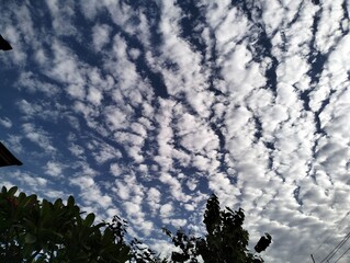 Altocumulus Clouds Pattern in Blue Sky with Tree Silhouettes Below
