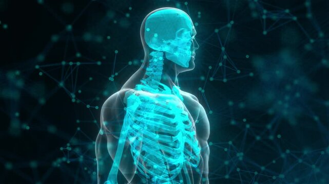 Human xray with connection dots. Computer generated 3d render