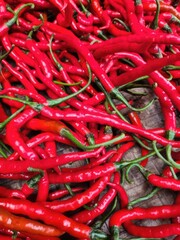 Close-up view of many fresh red chili peppers.