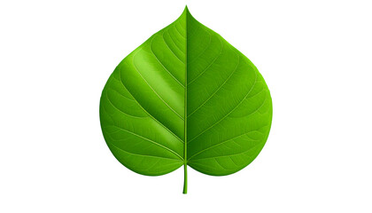 Obraz premium Vibrant Green Leaf 3D Illustration Nature's Perfect Heart Shape