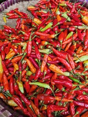 Colorful chili peppers in a large pile.