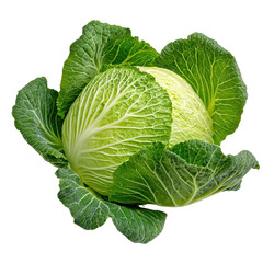 Obraz premium Fresh Green Cabbage with Crisp Leaves Displayed on a White Background for Healthy Eating and Cooking Concepts transparent background