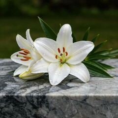 White lilies resting on a marble grave stone in a serene garden  