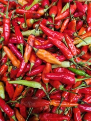 Close-up view of various chili peppers.