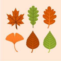 Collection of stylized autumn leaves in various colors and shapes.