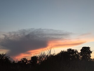 Dramatic Sunset Cloudscape with Flaming Orange Streaks and Silhouetted Trees