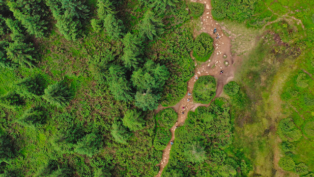 Aerial view of a group of young hikers walking along a winding rocky forest path.