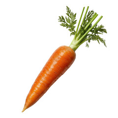 Fresh organic carrot with green leafy tops showcasing natural orange color isolated on white background transparent background