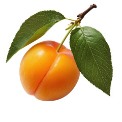Fresh and Juicy Apricot with Green Leaves Isolated on White Background for Creative Culinary Use transparent background