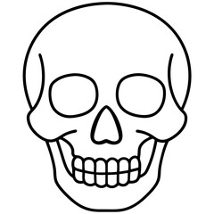 Minimal Skull Line Illustration