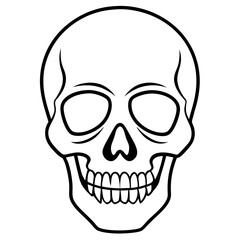 Minimal Skull Line Illustration