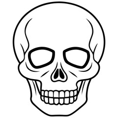 Minimal Skull Line Illustration