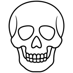 Minimal Skull Line Illustration