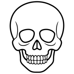 Minimal Skull Line Illustration