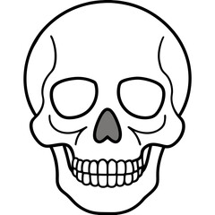 Minimal Skull Line Illustration
