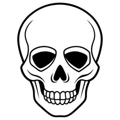 Minimal Skull Line Illustration