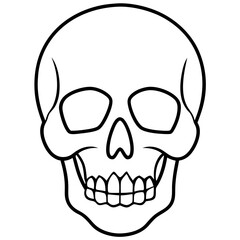 Minimal Skull Line Illustration