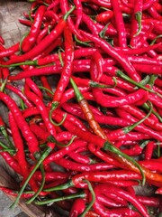 Close-up of many vibrant red chili peppers.