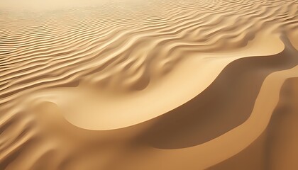 Rolling Sand Dunes in Golden Light