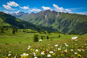 Scenic mountain landscape with alpine blooming meadows. Location place Alps, Europe.