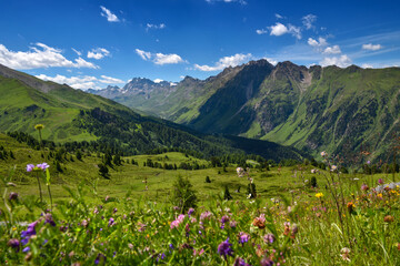 Scenic mountain landscape with alpine blooming meadows. Location place Alps, Europe.