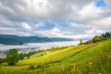 Splendid summer scene of a rolling hills on a sunny day. Mountains in morning light. Location place Carpathian, Ukraine, Europe